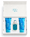 OCEAN  COLLECTION              